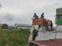 Tak Kapok Dibongkar dan Dibakar, Arena Judi Dadu dan Adu Burung Dara di Ploso kembali Digerebek