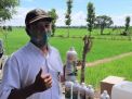 Baca juga : Petani asal Gresik Ini Klaim Bisa Usir Tikus dengan Fermentasi Urine Sapi