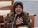 Mensos Risma Gencarkan Operasi Katarak Gratis Atasi Kemiskinan