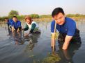 Penanaman 3000 Bibit Mangrove Tandai Peringatan HUT ke-1 KRM Surabaya