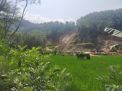 Usaha Galian Tambang Dituding sebagai Penyebab Longsor di Trenggalek