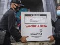 Vaksin Sinovac Manjur 65,3%, tapi Ada Efek Sampingnya Lho...