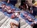 Viral, Ibu Lahirkan 4 Bayi tanpa Pertolongan, Akhirnya Meninggal