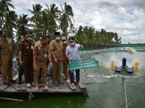 Gubernur Kalteng Fokuskan Sektor Peternakan di Wilayah Barat