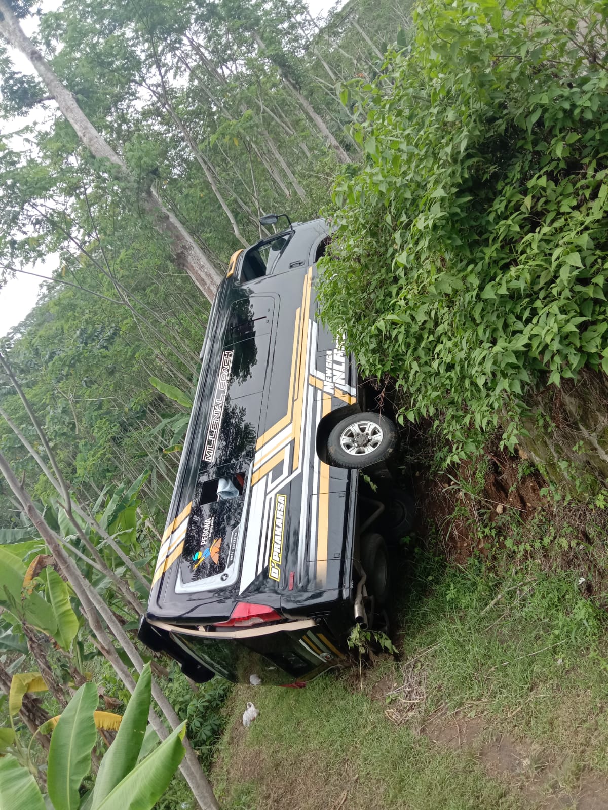 Tak Kuat Nanjak, Elf Bawa 20 Penumpang Masuk Jurang