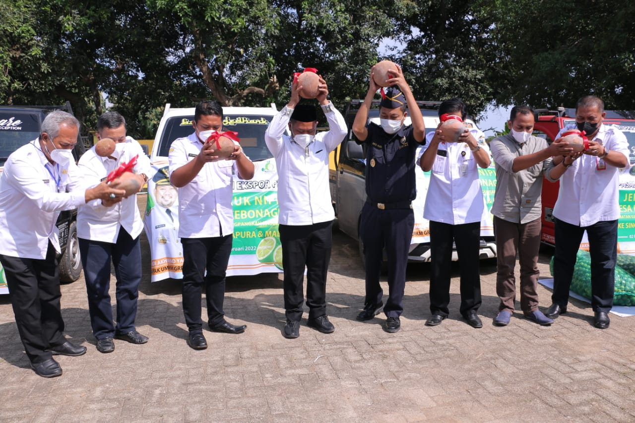 Gresik Luncurkan Ekspor UMKM Jeruk Nipis Ujung Pangkah ke Malaysia dan Singapura