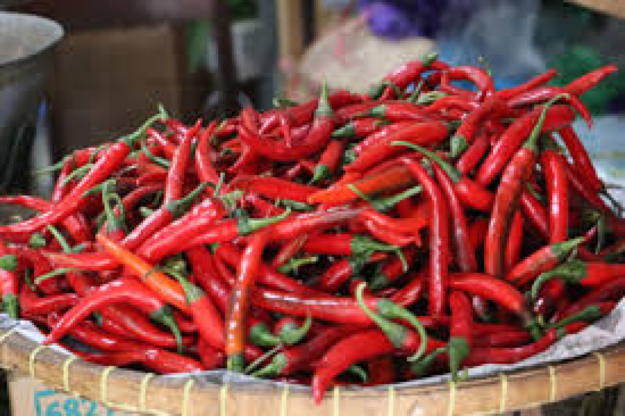 Emak-emak Bisa Menjerit! Harga Cabai Rawit di Jawa Timur Tembus Rp200.000 per Kilogram