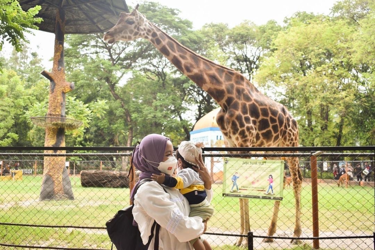 Perpanjangan Event dan Wahana Baru Jadi Andalan KBS Tarik Wisatawan Lebaran