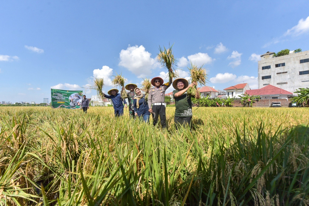 Tingkatkan Produksi Padi, Pemkot Bantu Pembibitan hingga Irigasi untuk Poktan di Surabaya