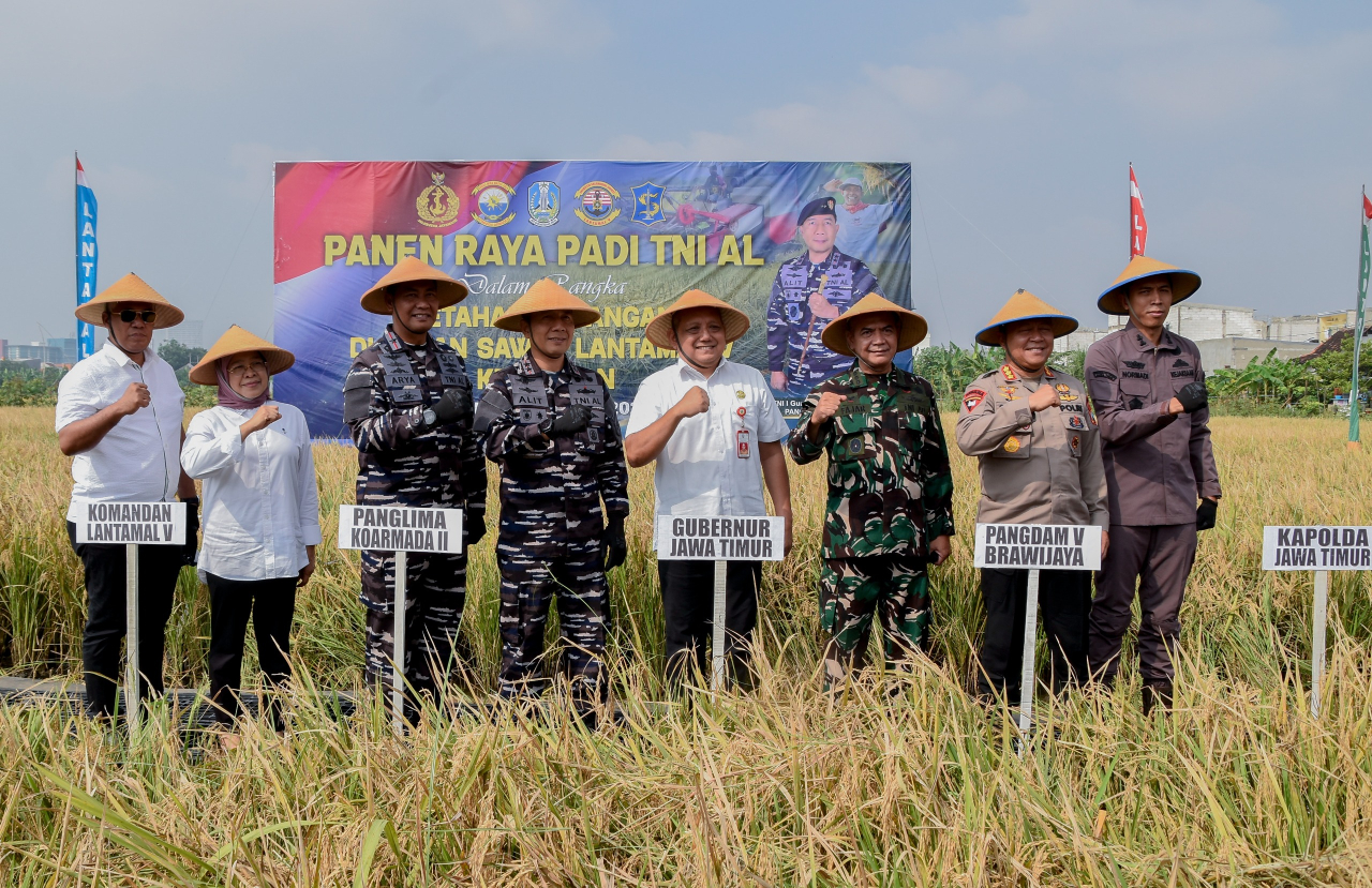 Mantap! Pemkot Surabaya dan TNI AL Gelar Panen Raya Padi Serentak