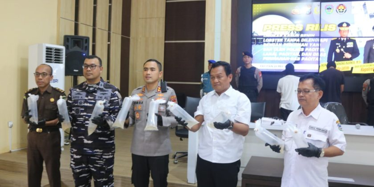 Polres Pacitan Gagalkan Penyelundupan 27.650 Benur Ilegal, Barang Bukti Dilepasliarkan