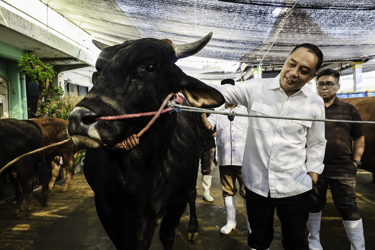 Pastikan Kesehatan Hewan Kurban, Wali Kota Eri Cahyadi Cek Sapi Presiden hingga RPH Surabaya