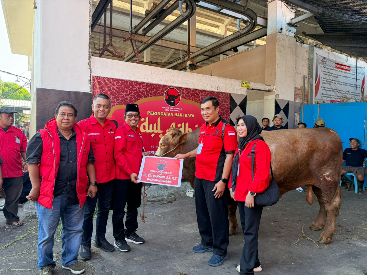 PDIP Surabaya Kurban 12 Sapi, Wali Kota Eri Cahyadi Sumbang Sapi 1,02 Ton