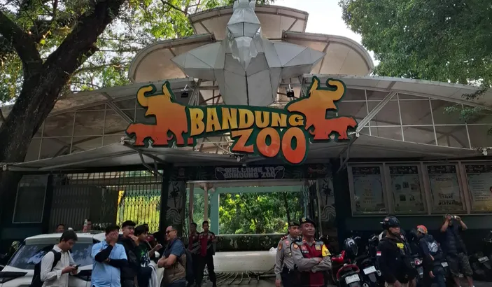 PT Fauna Land Ancol Resmi Kelola Bandung Zoo: FK3I Desak Pengelola Perhatian Nasib Satwa dan Pedagang Lokal