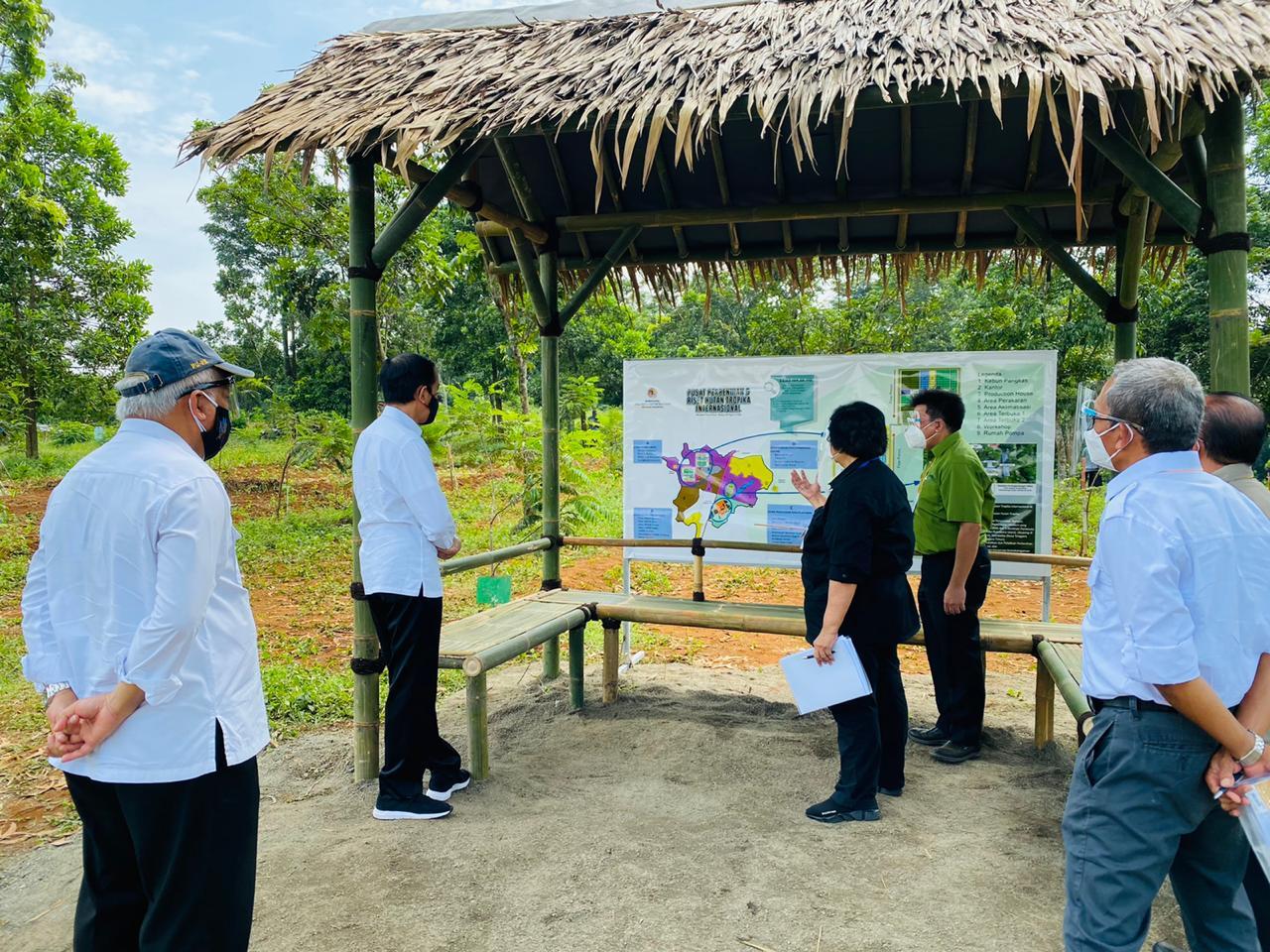 Presiden Sidak Proyek Pusat Perbenihan untuk Atasi Bencana Ekologis