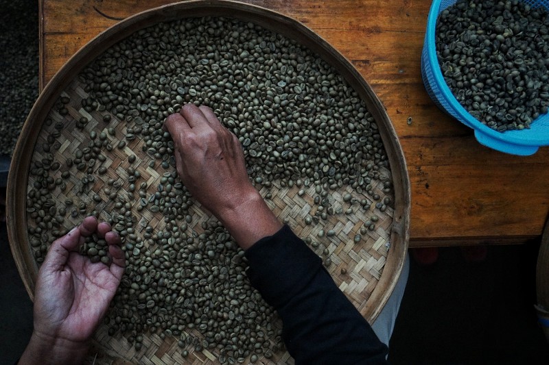 FOTO: Pasca Panen Kopi di Wonosalam Jombang