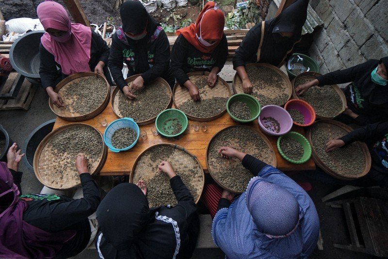 Petani Kopi Banyuwangi bakal Ketemu Investor dari Berbagai Negara di Ijen Coffee Market