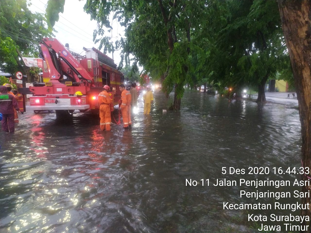 Hujan Deras di Surabaya, Banjir dan Pohon Tumbang di Sejumlah Titik