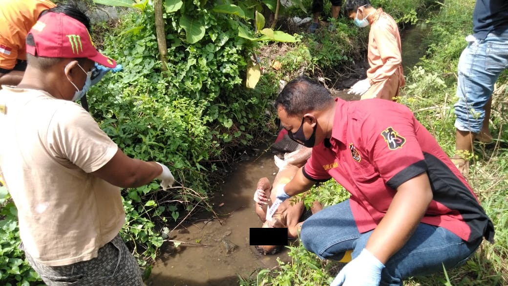 Mayat Tanpa Busana di Parit Sawah Pulorejo Gegerkan Jombang