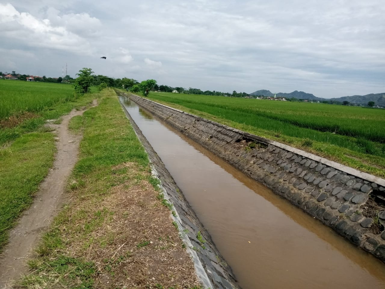 Air Irigasi di Tulungagung Diduga Dicuri