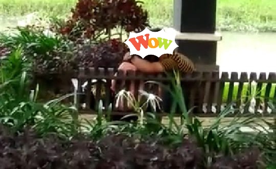 Viral! Sepasang Muda-mudi Nekat Mesum di Taman Pinka Tulungagung