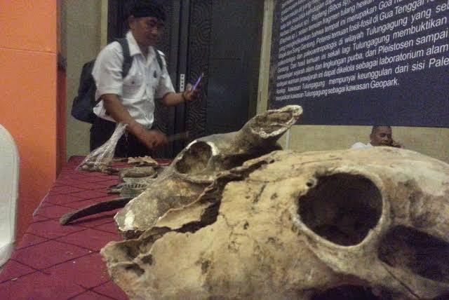 Tim Survei Geologi Temukan 8 Geosite Baru di Tulungagung