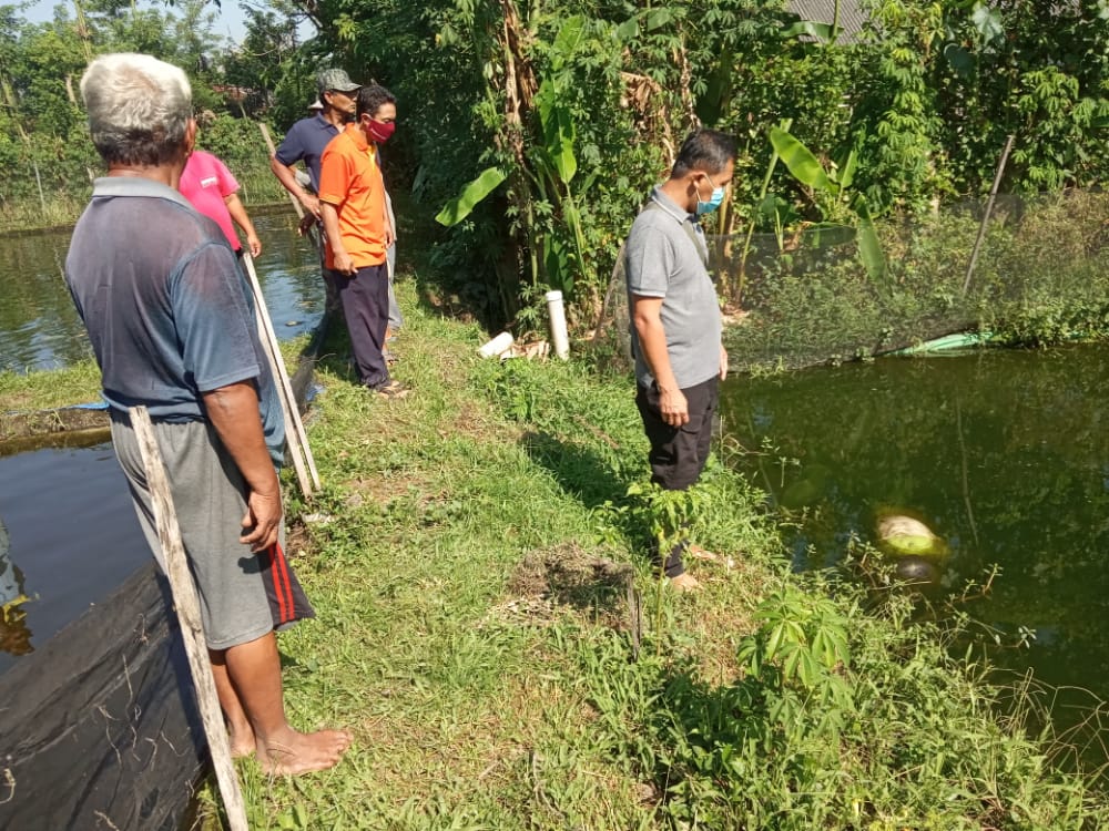 Hidup Sebatang Kara, Nenek di Tulungagung Tewas di Kolam Ikan Patin