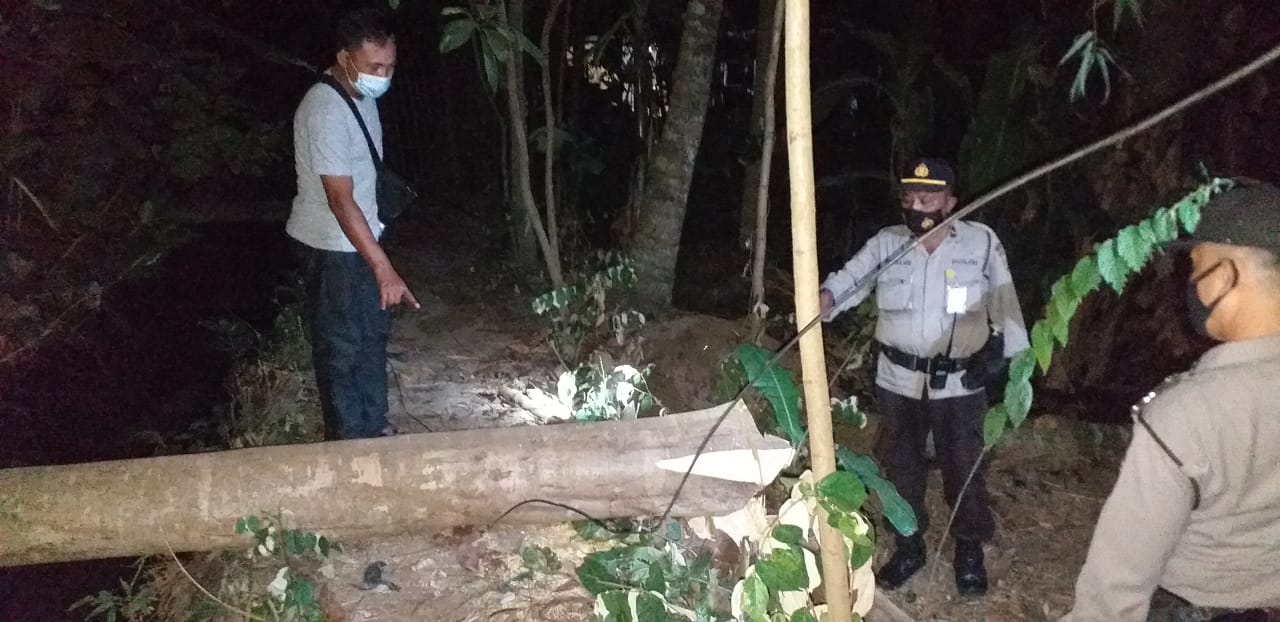 Dandan di Tulungagung Tewas Tertimpa Pohon yang Dipotongnya Sendiri
