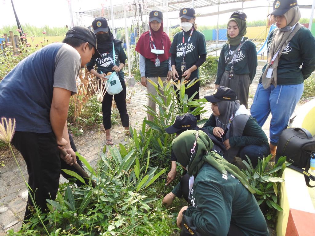 KKN Mahasiswa Ubhara Surabaya, Penghijauan demi Promosi Wisata Desa Cangkring Sidoarjo