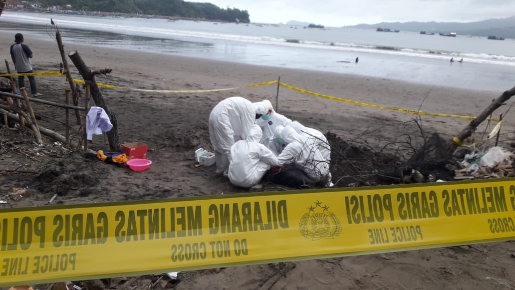 Lumba-lumba yang Terdampar di Pantai Sidem ternyata Berjenis Ini