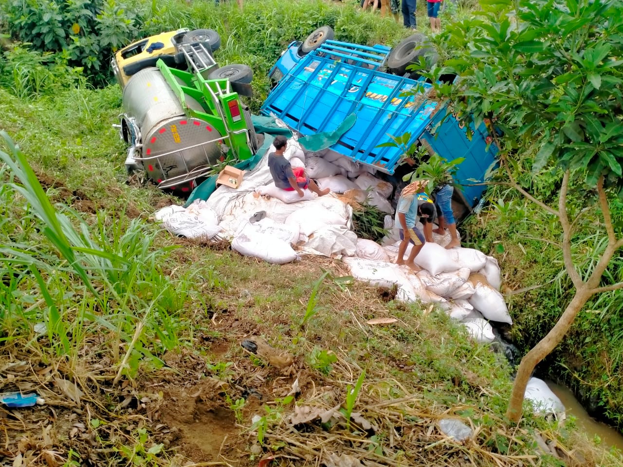 Tak Kuat Menaiki Jalan Tanjakan, Dua Truk Pakan Sapi di Tulungagung Ini Nyempulung Parit