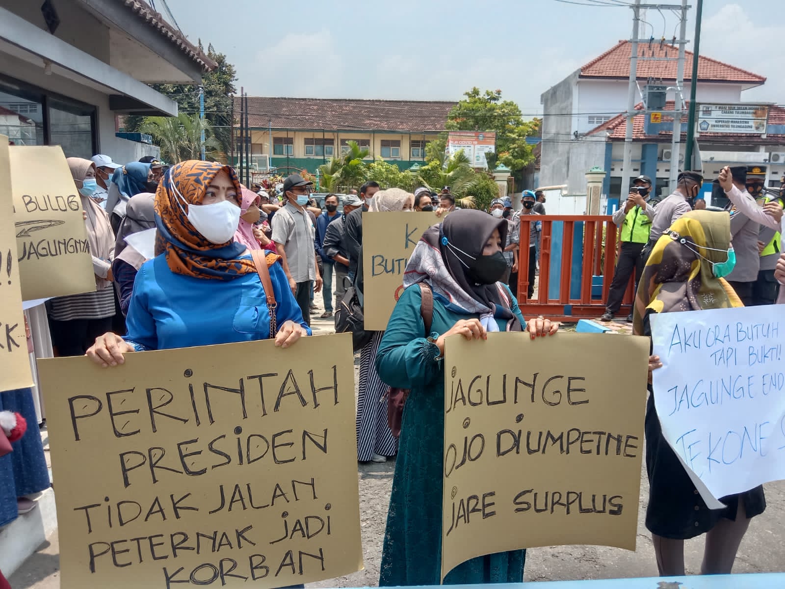 Peternak Telur di Blitar dan Tulungagung Berdarah-darah, Ini Sebabnya