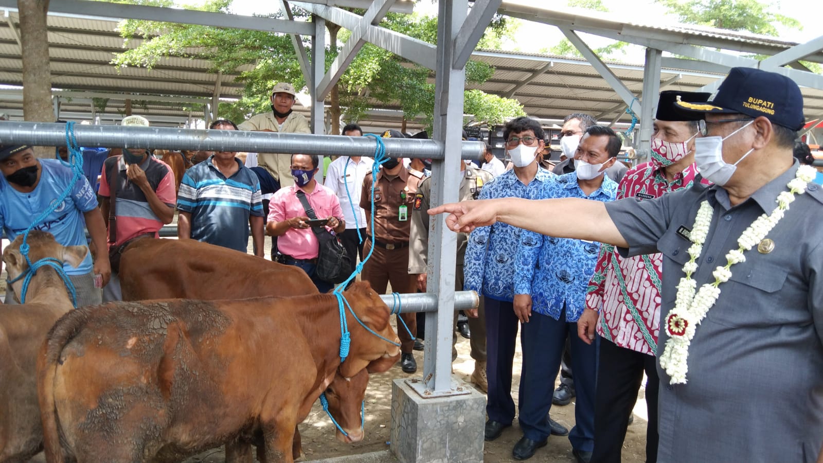 PHT Tulungagung Diresmikan Bupati, Mampu Tampung Ratusan Sapi dan Kambing