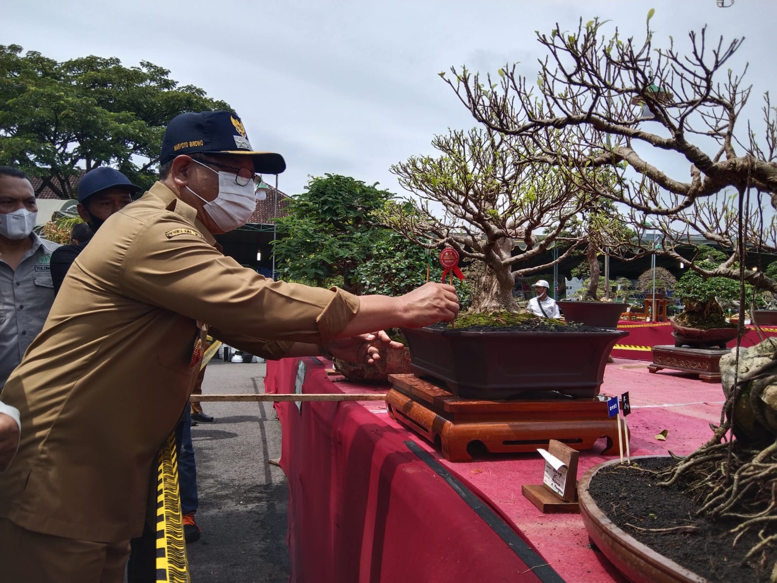 Bupati Tulungagung Resmikan Kontes Bonsai Tingkat Nasional