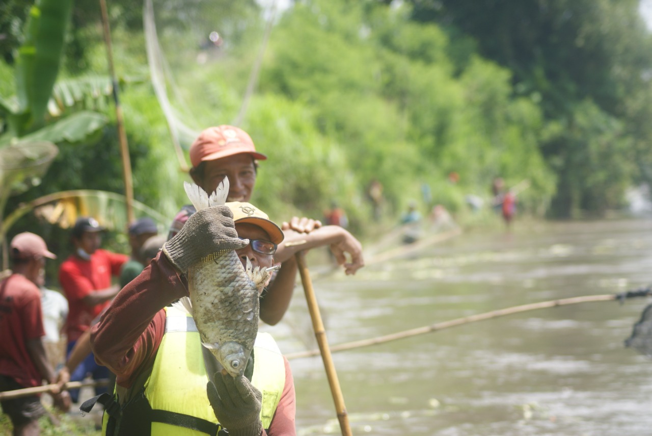 Pladu, Warga Tulungagung Berjejer di Tepi Sungai Tangkap Ikan Mabuk