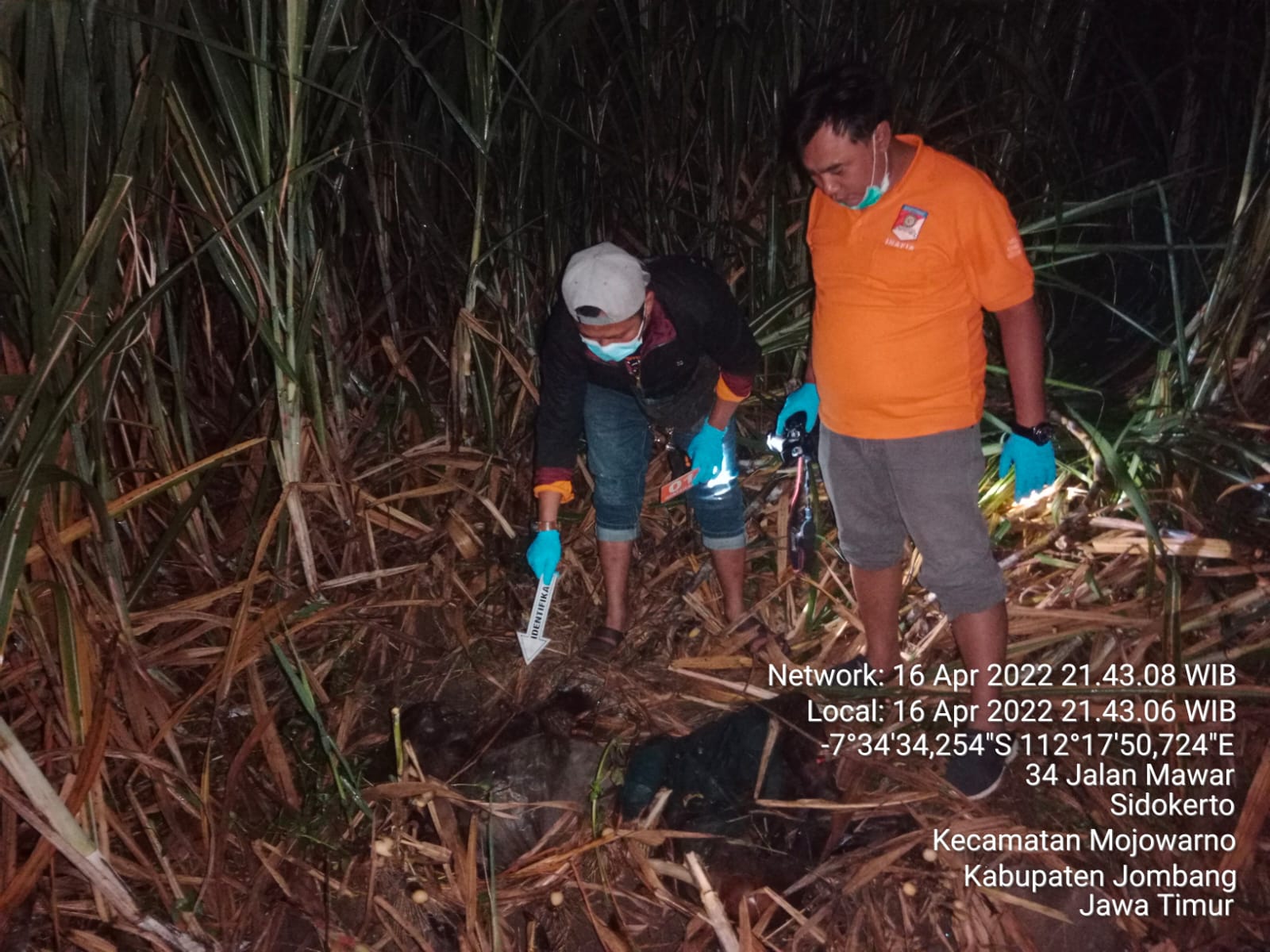Warga Jombang Geger dengan Mayat di Kebun Tebu