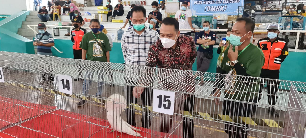 Dari Kontes Merpati Hias, Cak Eri Minta UMKM Surabaya Ternak Burung