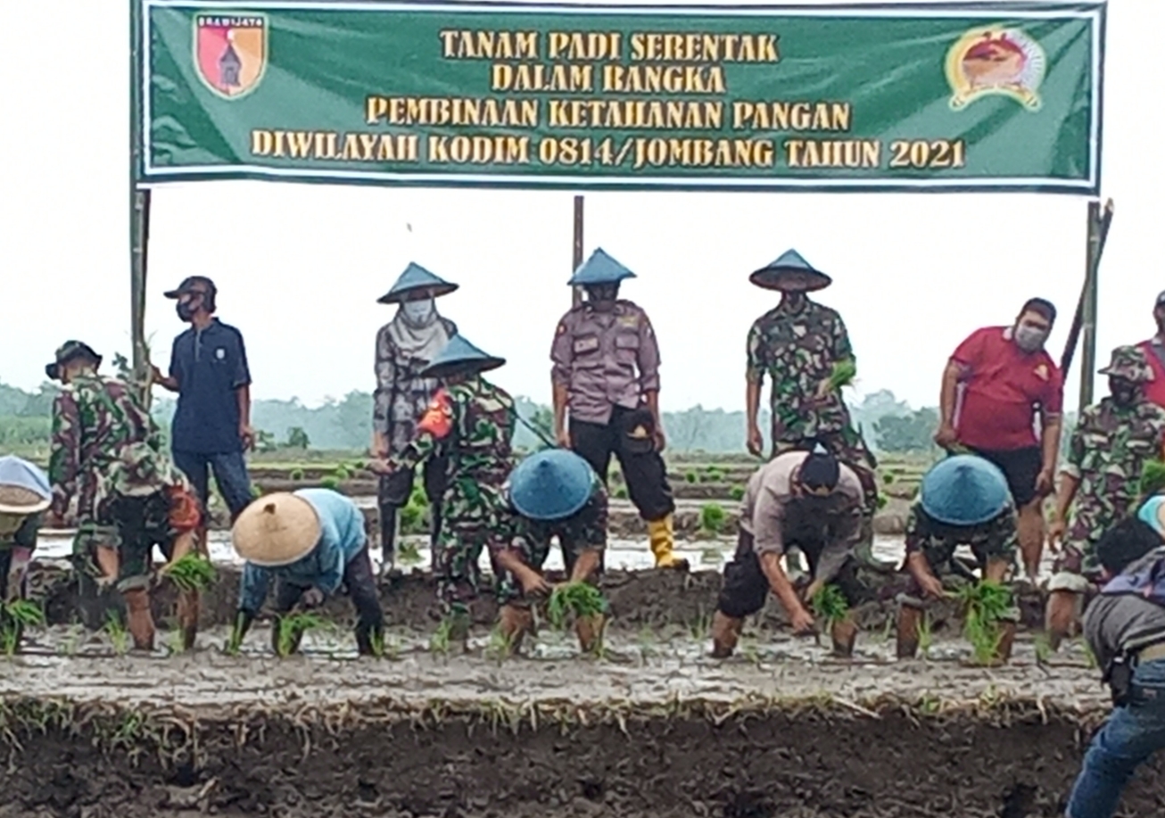 Babinsa Diharapkan Bisa Bantu Petani Jombang Atasi Kelangkaan Pupuk