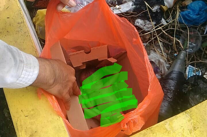 Ibu yang Buang Bayinya di Tempat Sampah di Gresik Diduga di Bawah Umur