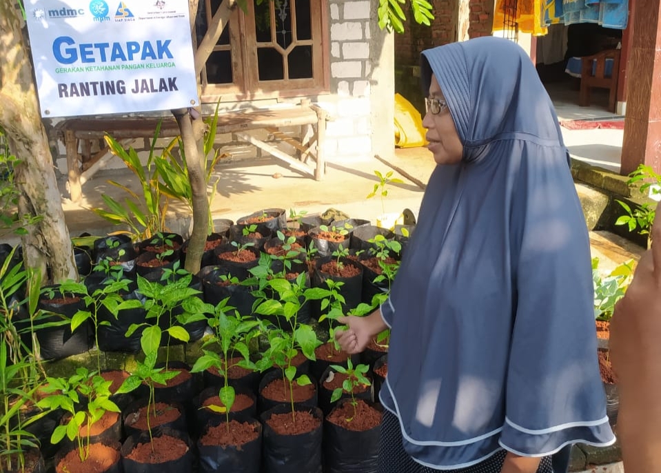 Harga Cabai Melejit, Ini Solusi dari Kampung di Lamongan