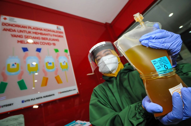 FOTO: Donor Plasma Darah Konvalesen PMI Surabaya