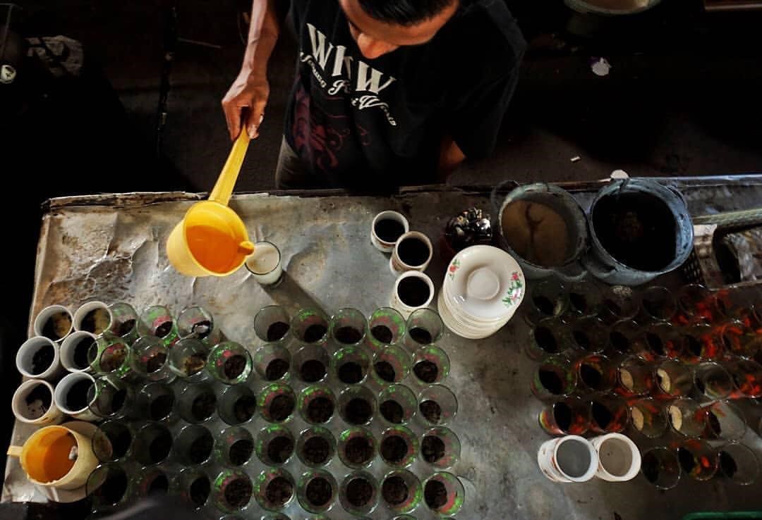 Ngopi Khas di Tulungagung, Ada Warkop Mak Waris yang Legendaris dengan Kopi Ijo