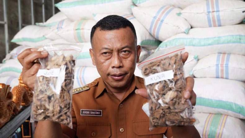 Ponorogo Ekspor Kunyit dan Temulawak 50 Ton ke India