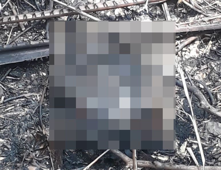 Sadis, Bayi Baru Lahir Dibuang dan Dibakar di Jember
