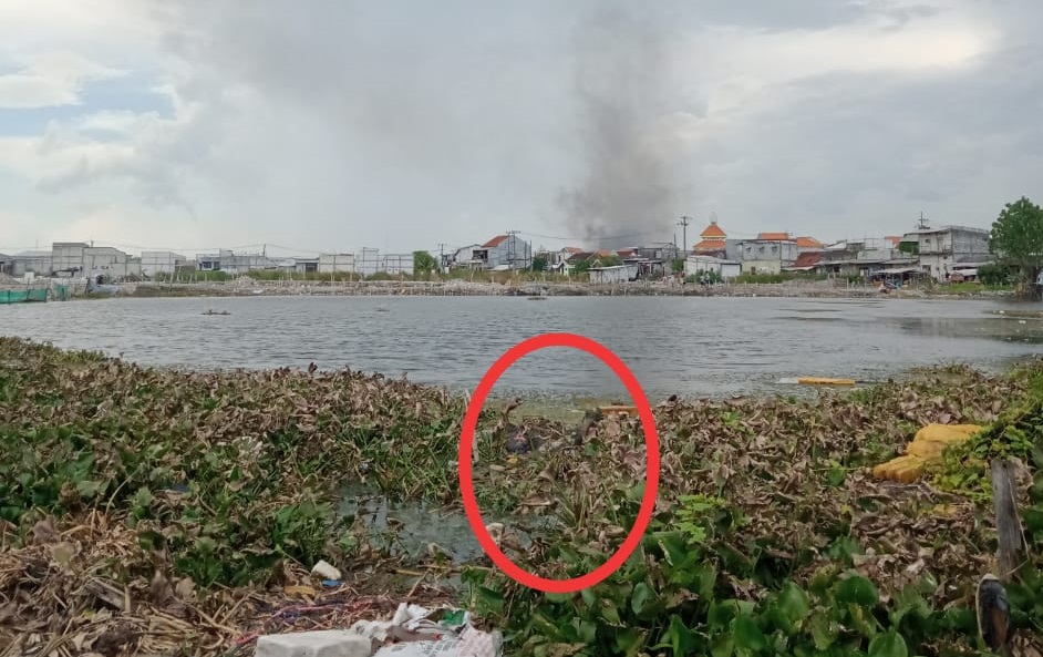 Hilang 3 Hari, Kakek 70 Tahun di Temukan Tewas Mengapung di Tambak