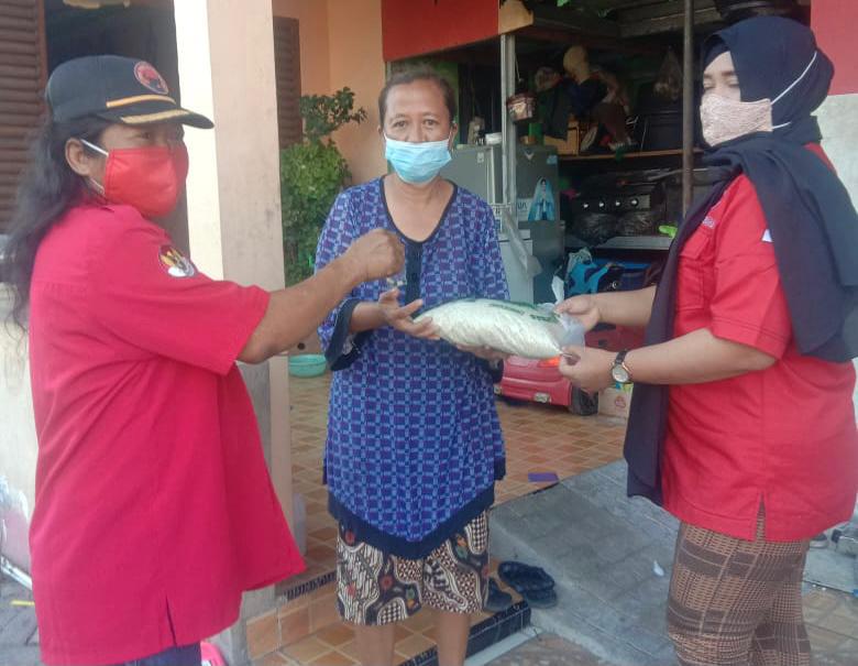 PAC PDI Perjuangan Lakarsantri Gotong Royong Bagikan Beras dan Vitamin