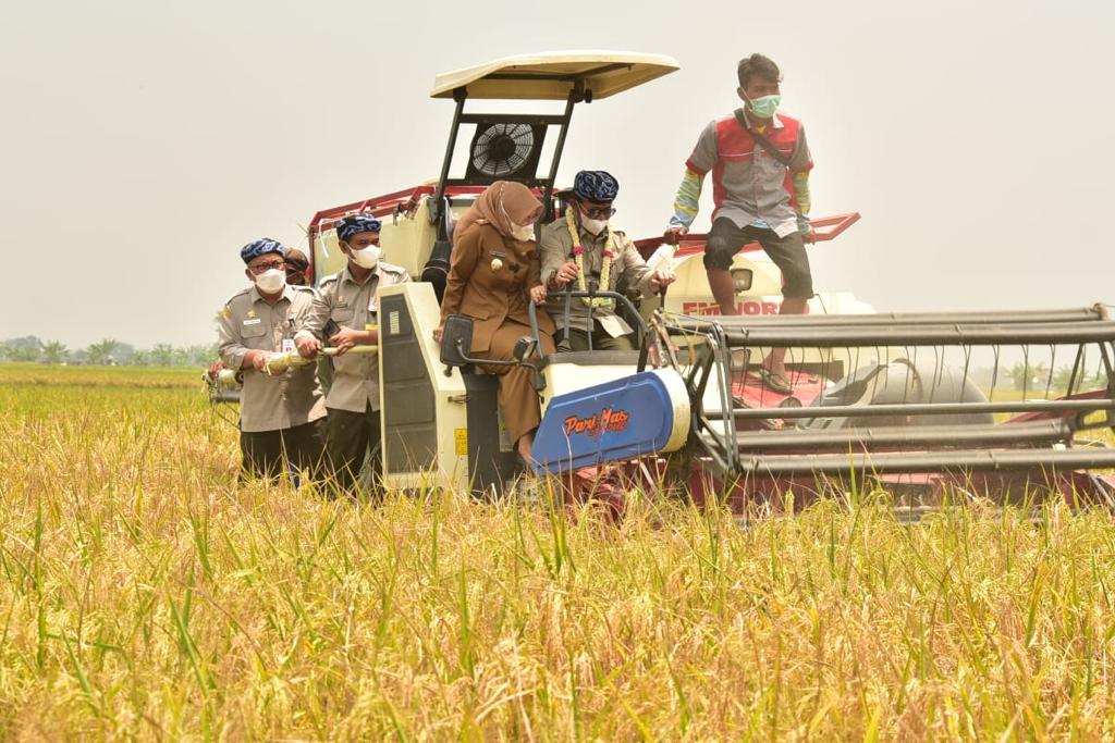 HPS ke-41, FAO Apresiasi Capaian Pembagunan Pertanian di Masa Covid-19