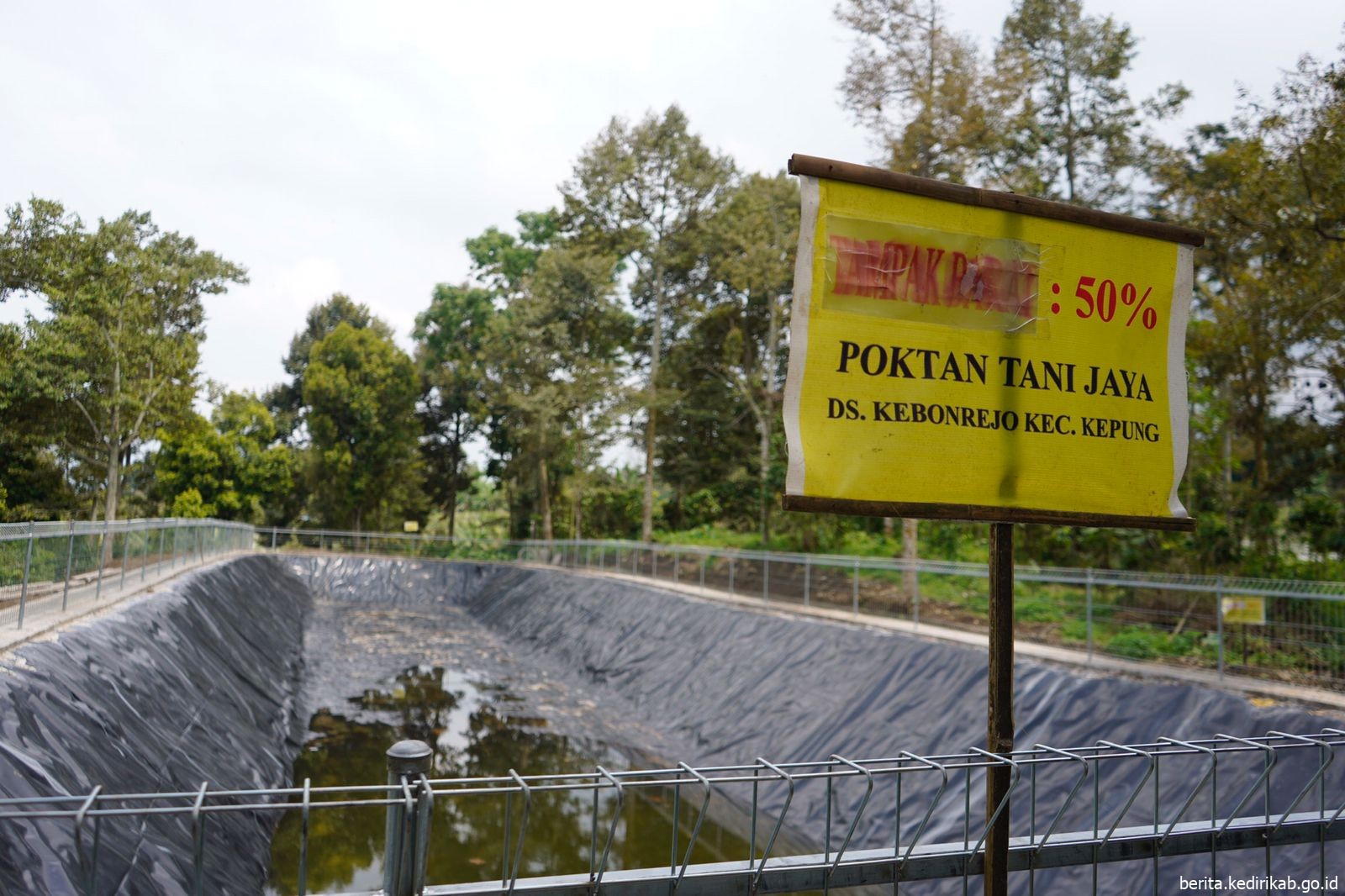 Bangun Embung, Mas Dhito Ingin Petani Tak Kesulitan Air Saat Kemarau