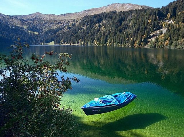 Bisa Tembus Pandang, Danau Rotomairewhenua Selandia Baru Ini Dinobatkan sebagai Air Tawar Paling Jernih Sedunia