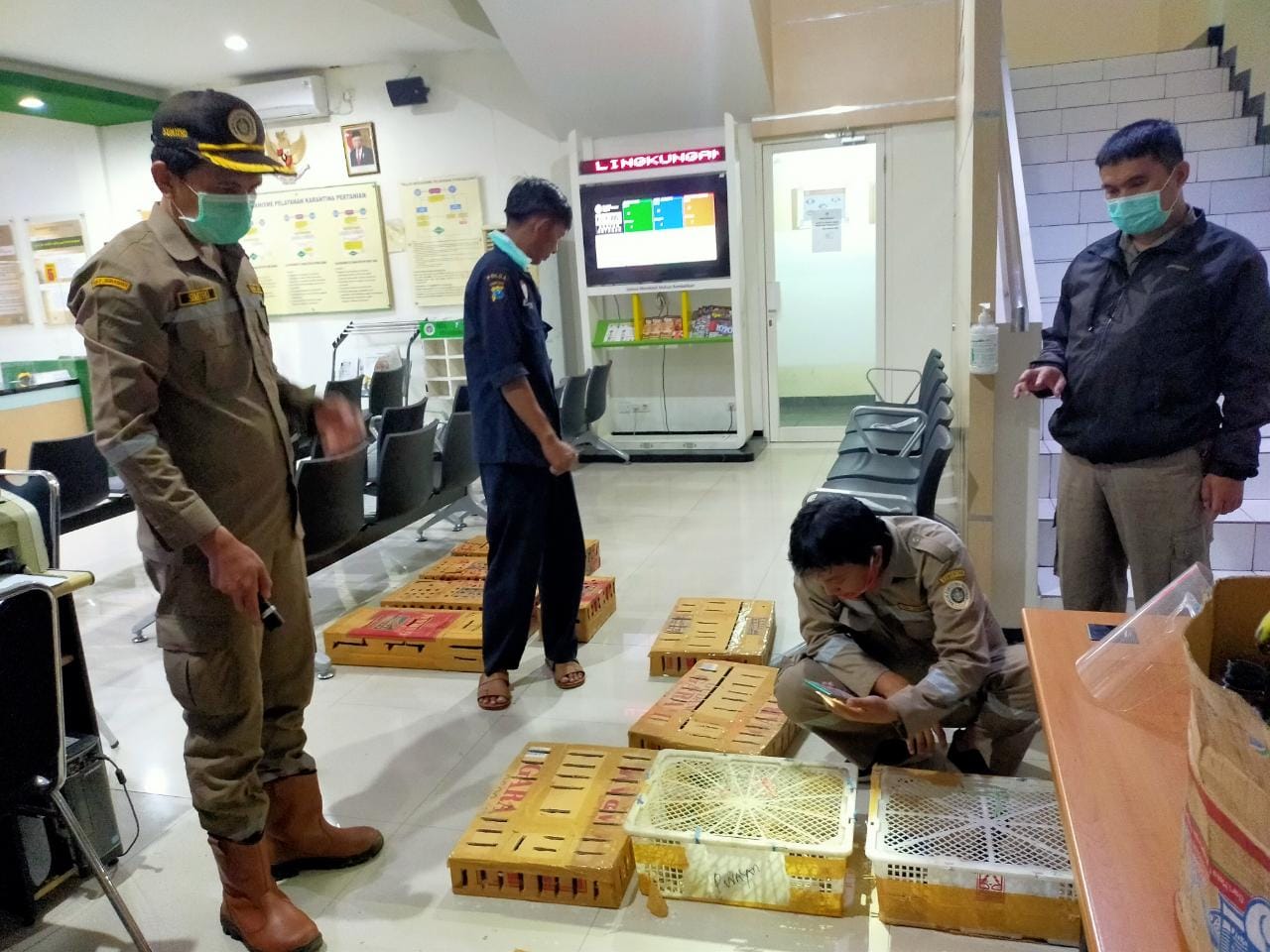 Digagalkan, Penyelundupan 380 Burung Berharga Mahal di Tanjung Perak